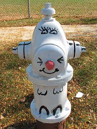 225 S. Harvard - Bunny